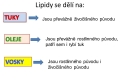 lipidy-02