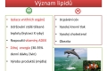 lipidy-12