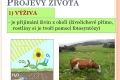 projevy-zivota-05