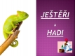 ještěři a hadi-01