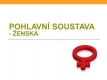 pohlavní soustava-02