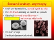 cévy a krev - 7