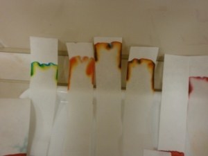 chromatografie2