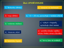 1_Snimek14