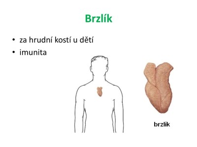 Snimek7