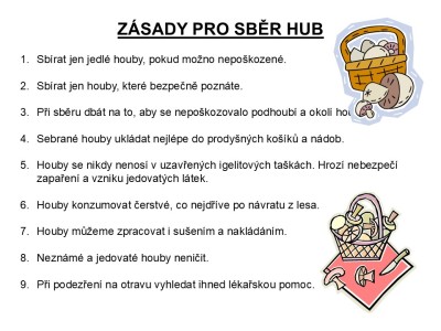 houby-13
