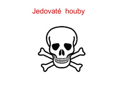 houby-31