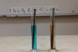 hrebik-a-siran-mednaty-3