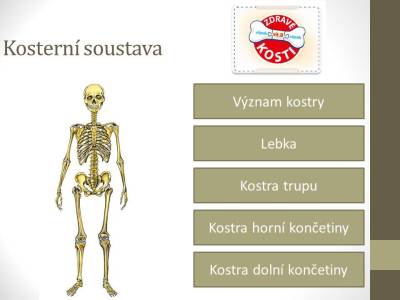 kosterni-01