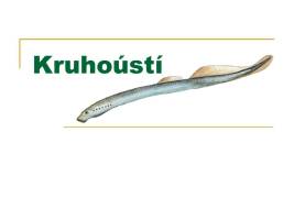 kruhousti-01