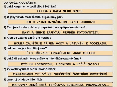 lisejnik16