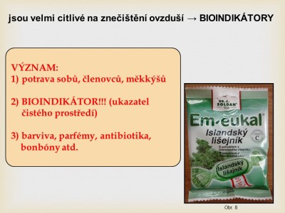 lisejnik7