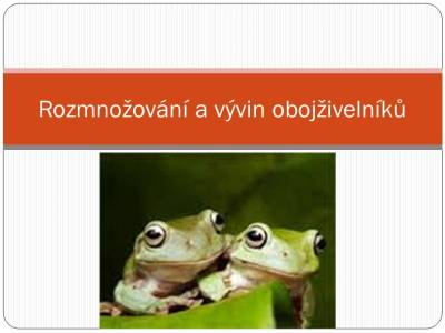 obojroz-01