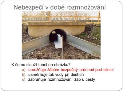 obojroz-20