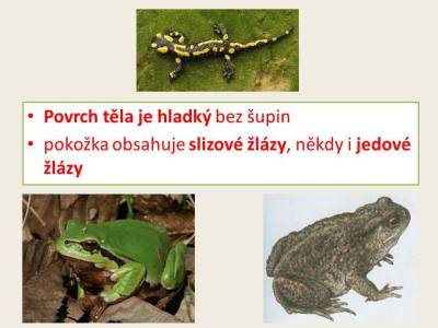 obojznaky-04