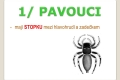pavoukovci-04