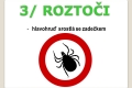 pavoukovci-18