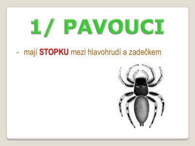 Snimek4