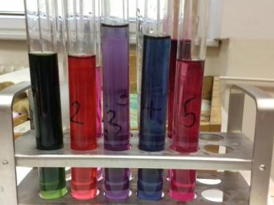 pH4