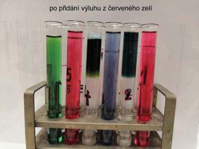 pH7