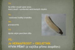Snimek5