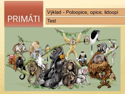primati-01