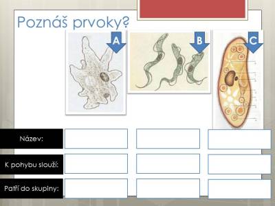 prvoci-09