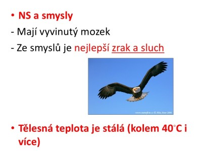 Snimek23