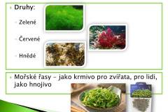 rasy-03