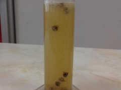 tancici-rozinky-6