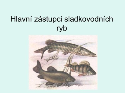2_Snimek1