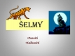 selmy-01