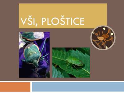 vsiplostice-01