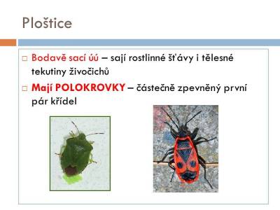 vsiplostice-03