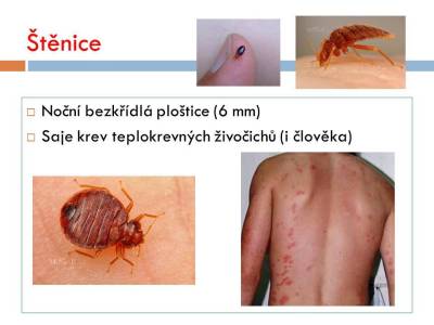 vsiplostice-09