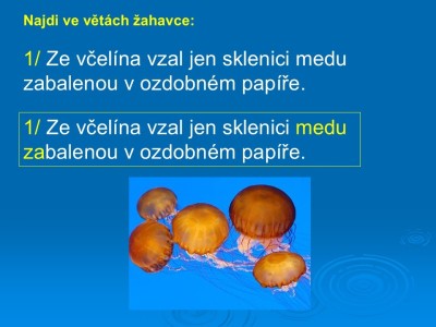 1_Snimek22