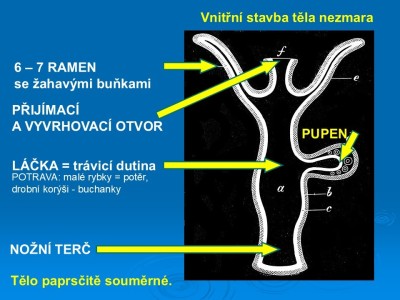 1_Snimek4