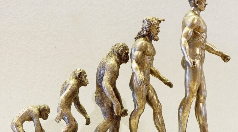 Původ a vývoj člověka