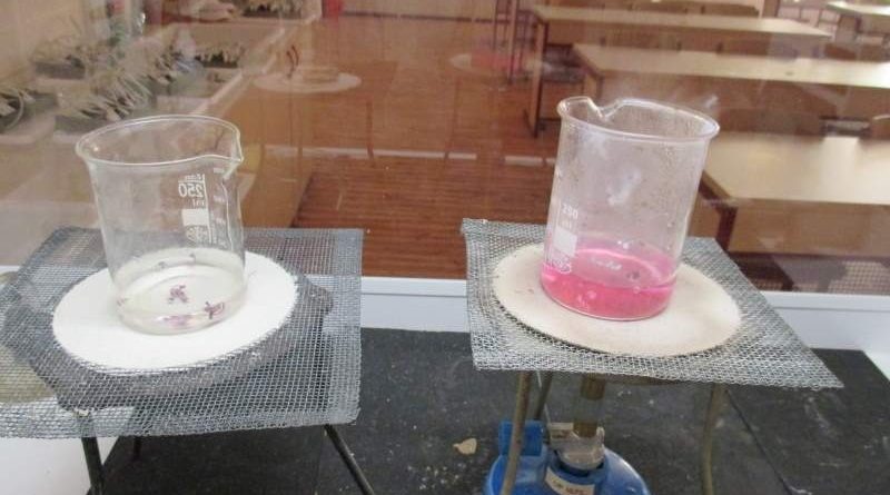 Reakce hořčíku s horkou vodou