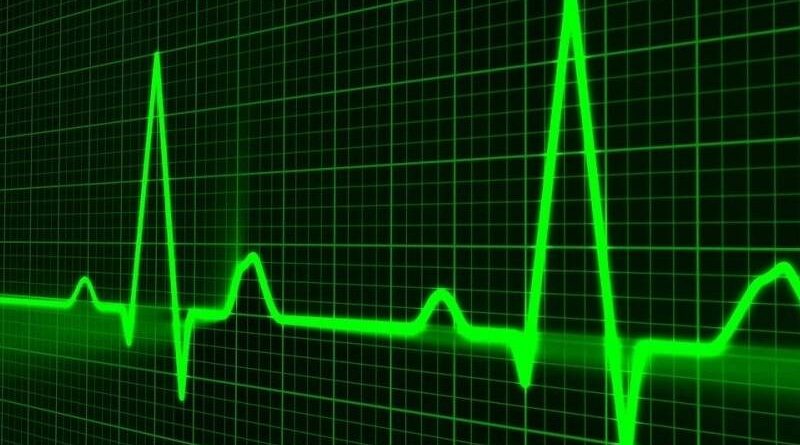 Srdce a krevní oběh