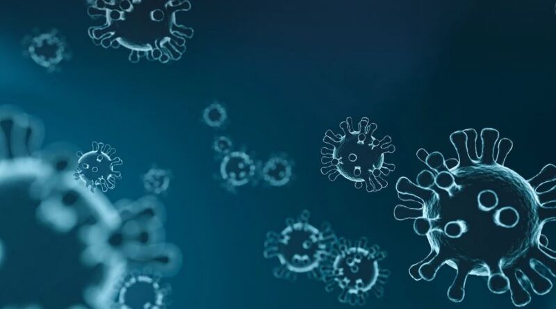 Viry, bakterie – dvojice