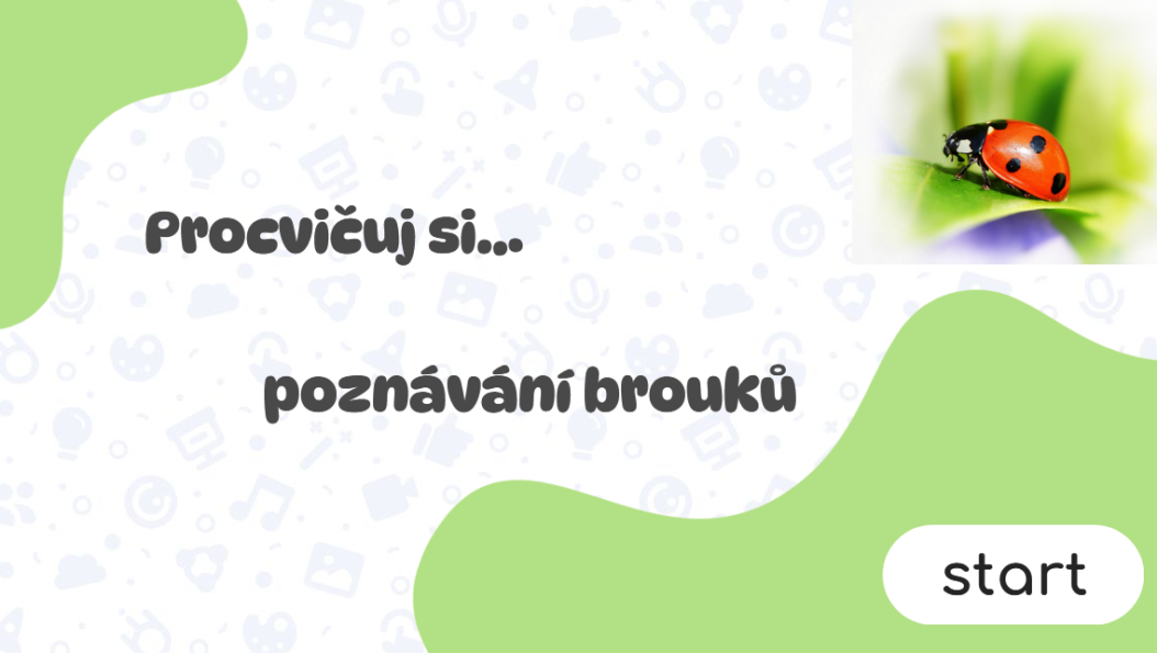 Poznávačka brouků