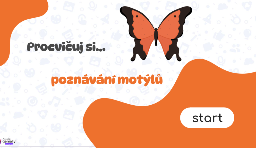 Poznávačka motýlů